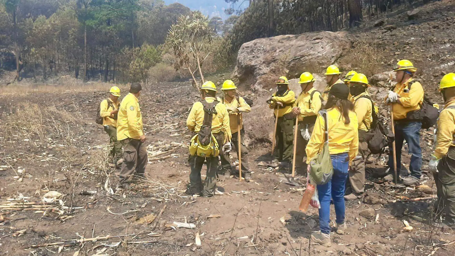 Incendios forestales Durango